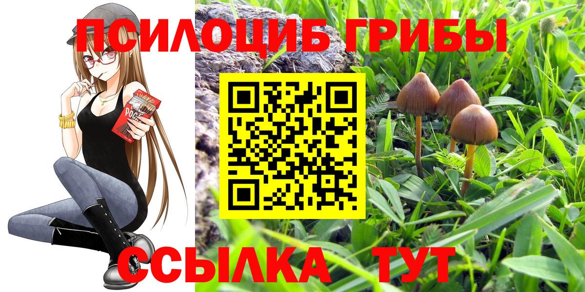 Лабытнанги  Псилоцибиновые грибы Psilocybine cubensis  Вход с VPN 